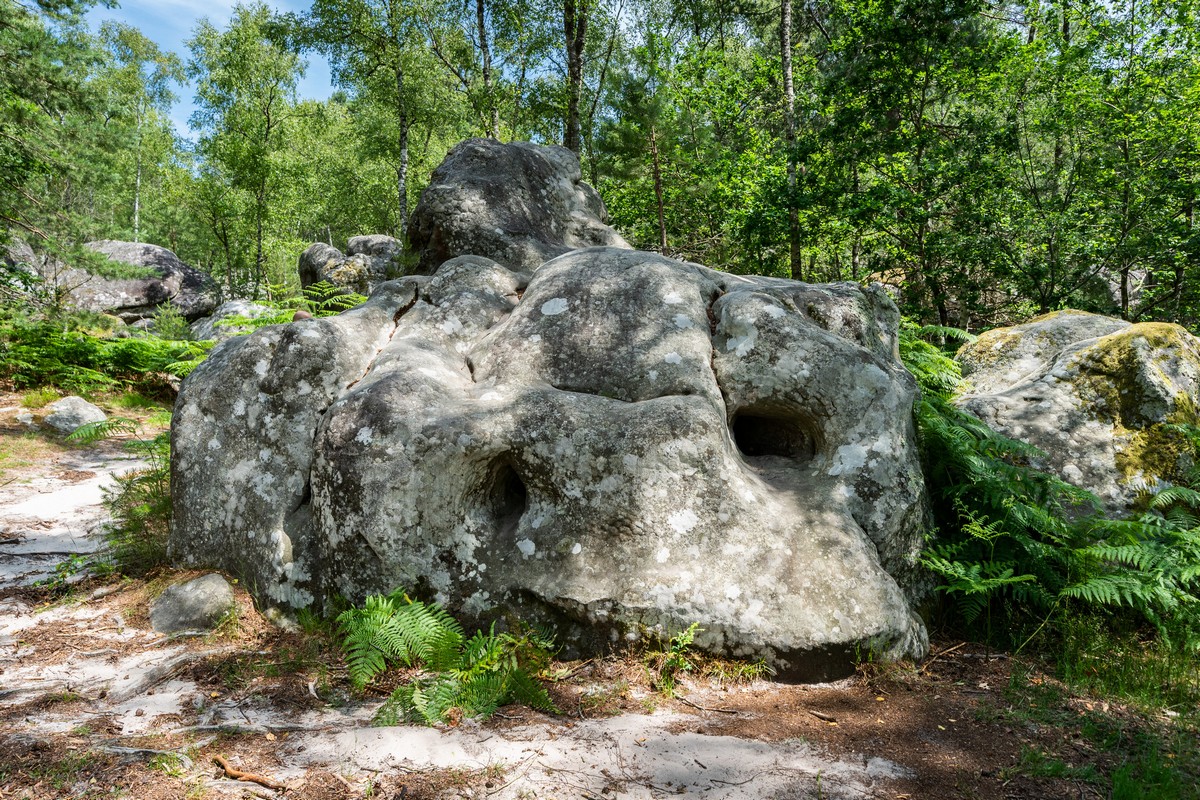 Fontainebleau